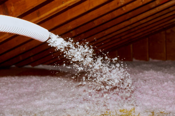 Best Types of Insulation in Traer, IA