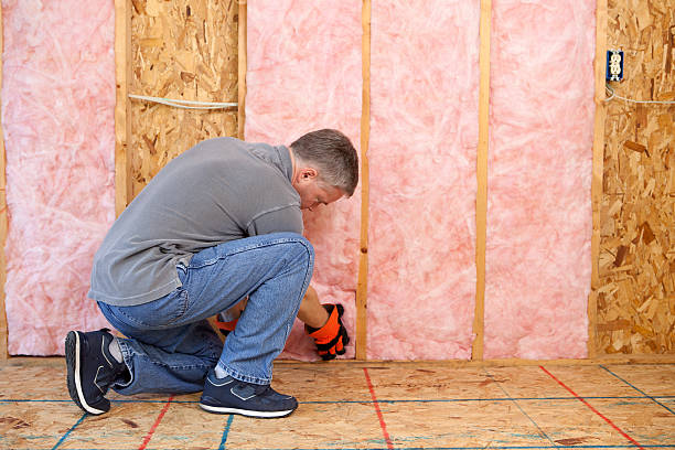 Best Residential Insulation in Traer, IA